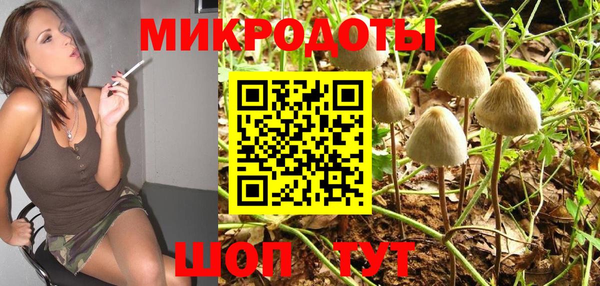 Славянск-на-Кубани  Псилоцибиновые грибы ЛСД  Вход с VPN 